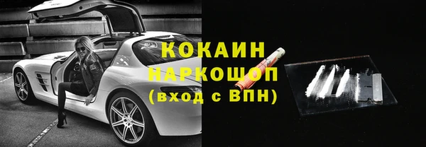 ешки Алексин