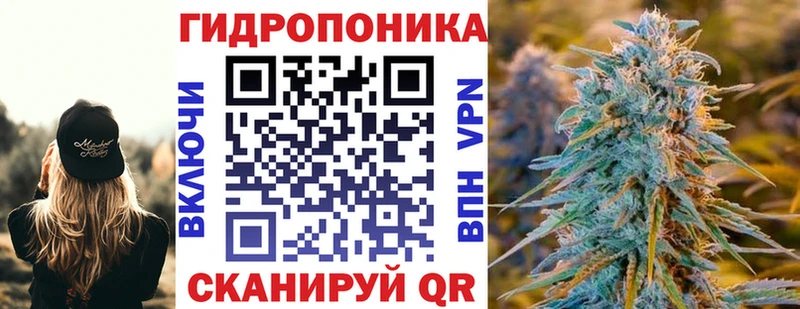 Конопля гибрид цена Красноармейск